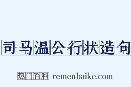 司马温公行状造句是什么意思的图片